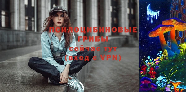 дурь Дмитриев