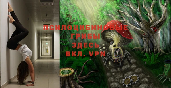 мдма Елизово