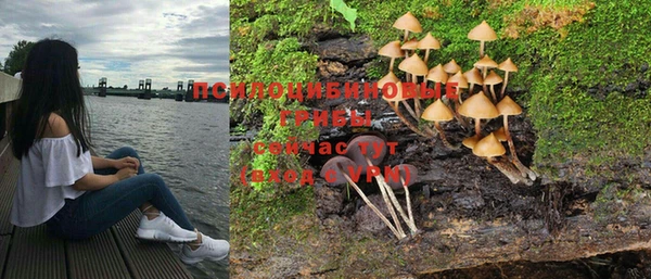гидропоника Гусев