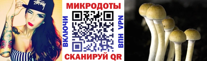 маркетплейс наркотические препараты  купить закладку  Керчь  Псилоцибиновые грибы MAGIC MUSHROOMS  кракен зеркало 